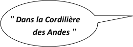 
" Dans la Cordilière  
          des Andes "